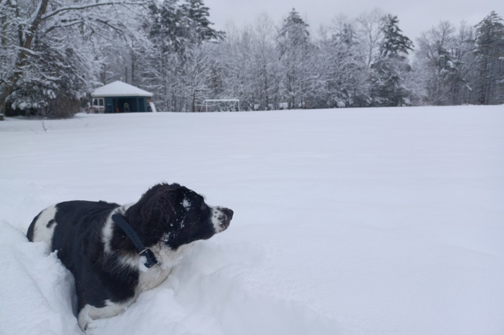 Aero after the&nbsp;Snow